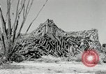 Standbild flat net United States USA, 1942, aus Sekunde 49 historischem Filmmaterial Videoclip 65675068406