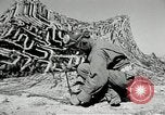 Standbild flat net United States USA, 1942, aus Sekunde 55 historischem Filmmaterial Videoclip 65675068406