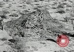Standbild flat net United States USA, 1942, aus Sekunde 61 historischem Filmmaterial Videoclip 65675068406