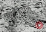Standbild flat net United States USA, 1942, aus Sekunde 62 historischem Filmmaterial Videoclip 65675068406