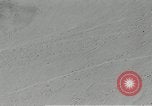 Standbild flat net United States USA, 1942, aus Sekunde 18 historischem Filmmaterial Videoclip 65675068407