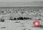 Standbild flat net United States USA, 1942, aus Sekunde 22 historischem Filmmaterial Videoclip 65675068407