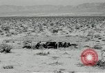 Standbild flat net United States USA, 1942, aus Sekunde 23 historischem Filmmaterial Videoclip 65675068407
