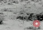 Standbild flat net United States USA, 1942, aus Sekunde 29 historischem Filmmaterial Videoclip 65675068407