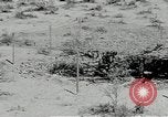 Standbild flat net United States USA, 1942, aus Sekunde 30 historischem Filmmaterial Videoclip 65675068407