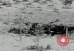 Standbild flat net United States USA, 1942, aus Sekunde 32 historischem Filmmaterial Videoclip 65675068407