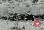 Standbild flat net United States USA, 1942, aus Sekunde 33 historischem Filmmaterial Videoclip 65675068407