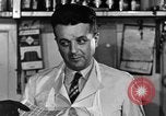 Standbild Fleisch shop United States USA, 1946, aus Sekunde 22 historischem Filmmaterial Videoclip 65675068408