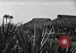 Standbild Seminole Indianer Florida United States USA, 1919, aus Sekunde 1 historischem Filmmaterial Videoclip 65675068421