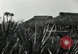Standbild Seminole Indianer Florida United States USA, 1919, aus Sekunde 3 historischem Filmmaterial Videoclip 65675068421