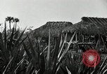Standbild Seminole Indianer Florida United States USA, 1919, aus Sekunde 4 historischem Filmmaterial Videoclip 65675068421