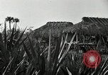 Standbild Seminole Indianer Florida United States USA, 1919, aus Sekunde 5 historischem Filmmaterial Videoclip 65675068421