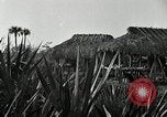 Standbild Seminole Indianer Florida United States USA, 1919, aus Sekunde 6 historischem Filmmaterial Videoclip 65675068421