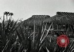 Standbild Seminole Indianer Florida United States USA, 1919, aus Sekunde 7 historischem Filmmaterial Videoclip 65675068421