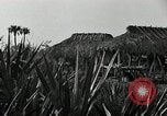 Standbild Seminole Indianer Florida United States USA, 1919, aus Sekunde 8 historischem Filmmaterial Videoclip 65675068421