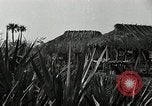 Standbild Seminole Indianer Florida United States USA, 1919, aus Sekunde 9 historischem Filmmaterial Videoclip 65675068421