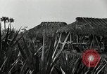 Standbild Seminole Indianer Florida United States USA, 1919, aus Sekunde 10 historischem Filmmaterial Videoclip 65675068421