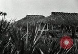Standbild Seminole Indianer Florida United States USA, 1919, aus Sekunde 11 historischem Filmmaterial Videoclip 65675068421
