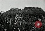 Standbild Seminole Indianer Florida United States USA, 1919, aus Sekunde 14 historischem Filmmaterial Videoclip 65675068421