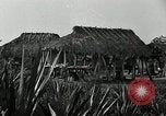 Standbild Seminole Indianer Florida United States USA, 1919, aus Sekunde 16 historischem Filmmaterial Videoclip 65675068421