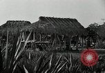 Standbild Seminole Indianer Florida United States USA, 1919, aus Sekunde 17 historischem Filmmaterial Videoclip 65675068421