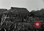 Standbild Seminole Indianer Florida United States USA, 1919, aus Sekunde 19 historischem Filmmaterial Videoclip 65675068421