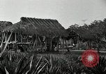 Standbild Seminole Indianer Florida United States USA, 1919, aus Sekunde 20 historischem Filmmaterial Videoclip 65675068421