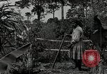 Standbild Seminole Indianer Florida United States USA, 1919, aus Sekunde 44 historischem Filmmaterial Videoclip 65675068421