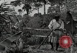 Standbild Seminole Indianer Florida United States USA, 1919, aus Sekunde 46 historischem Filmmaterial Videoclip 65675068421
