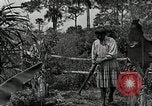 Standbild Seminole Indianer Florida United States USA, 1919, aus Sekunde 47 historischem Filmmaterial Videoclip 65675068421