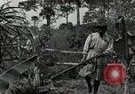Standbild Seminole Indianer Florida United States USA, 1919, aus Sekunde 48 historischem Filmmaterial Videoclip 65675068421