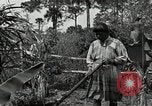 Standbild Seminole Indianer Florida United States USA, 1919, aus Sekunde 50 historischem Filmmaterial Videoclip 65675068421