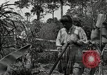 Standbild Seminole Indianer Florida United States USA, 1919, aus Sekunde 51 historischem Filmmaterial Videoclip 65675068421