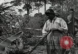 Standbild Seminole Indianer Florida United States USA, 1919, aus Sekunde 52 historischem Filmmaterial Videoclip 65675068421