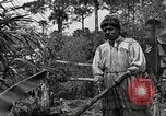 Standbild Seminole Indianer Florida United States USA, 1919, aus Sekunde 54 historischem Filmmaterial Videoclip 65675068421