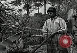 Standbild Seminole Indianer Florida United States USA, 1919, aus Sekunde 55 historischem Filmmaterial Videoclip 65675068421
