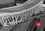 Standbild Seminole Indianer Florida United States USA, 1919, aus Sekunde 40 historischem Filmmaterial Videoclip 65675068422