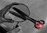 Image of Criminal Investigation Department Frankfurt Germany, 1954, second 14 stock footage video 65675068428