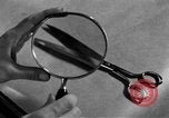 Image of Criminal Investigation Department Frankfurt Germany, 1954, second 17 stock footage video 65675068428