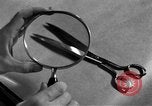 Image of Criminal Investigation Department Frankfurt Germany, 1954, second 22 stock footage video 65675068428