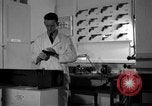 Standbild Kriminalpolizei Frankfurt Deutschland, 1954, aus Sekunde 20 historischem Filmmaterial Videoclip 65675068430