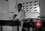Standbild Kriminalpolizei Frankfurt Deutschland, 1954, aus Sekunde 21 historischem Filmmaterial Videoclip 65675068430