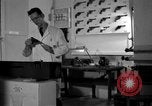Standbild Kriminalpolizei Frankfurt Deutschland, 1954, aus Sekunde 31 historischem Filmmaterial Videoclip 65675068430