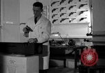Standbild Kriminalpolizei Frankfurt Deutschland, 1954, aus Sekunde 32 historischem Filmmaterial Videoclip 65675068430