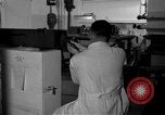 Standbild Kriminalpolizei Frankfurt Deutschland, 1954, aus Sekunde 40 historischem Filmmaterial Videoclip 65675068430