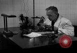 Standbild Kriminalpolizei Frankfurt Deutschland, 1954, aus Sekunde 47 historischem Filmmaterial Videoclip 65675068431
