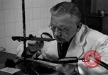 Standbild Kriminalpolizei Frankfurt Deutschland, 1954, aus Sekunde 52 historischem Filmmaterial Videoclip 65675068431
