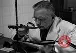 Standbild Kriminalpolizei Frankfurt Deutschland, 1954, aus Sekunde 54 historischem Filmmaterial Videoclip 65675068431