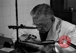 Standbild Kriminalpolizei Frankfurt Deutschland, 1954, aus Sekunde 57 historischem Filmmaterial Videoclip 65675068431