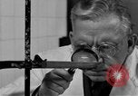 Standbild Kriminalpolizei Frankfurt Deutschland, 1954, aus Sekunde 60 historischem Filmmaterial Videoclip 65675068431
